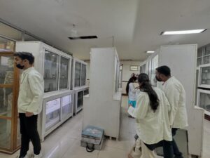 Forensic Lab 6